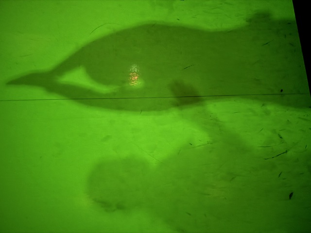 Schatten tanzender Menschen bei einer Party